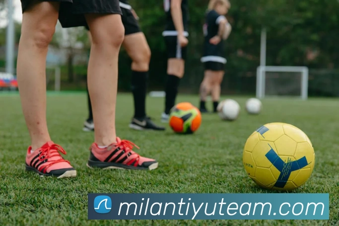 米兰体育平台生态图